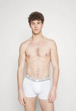 Pier One 5 PACK - Panties - White/pink/light Blue -Pier One 3721024dbc554890a6059d1e8168907f