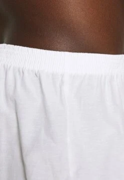 Pier One 5 PACK - Boxershorts - Light Blue/white -Pier One 8e2664e226c041628a342c1ad591e54d